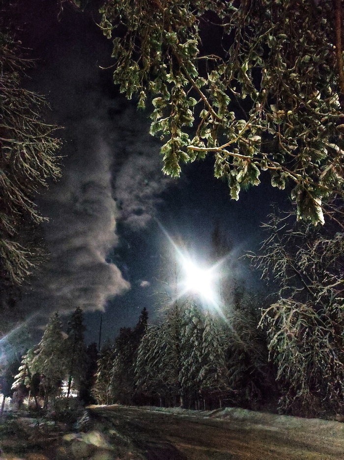 Ночь перед Рождеством