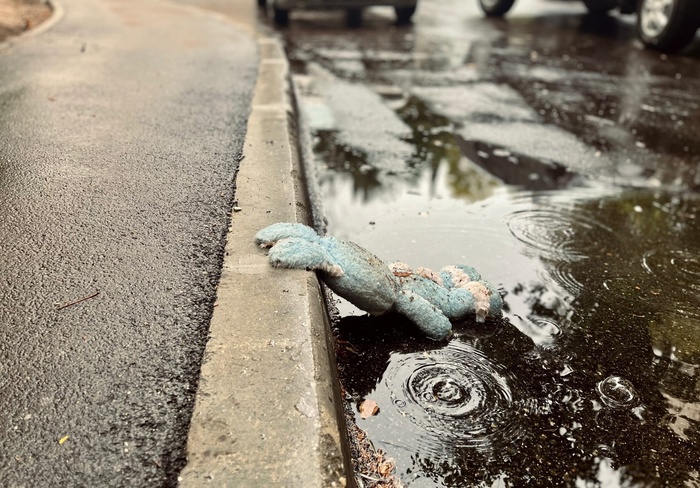 ����� ��������� �����