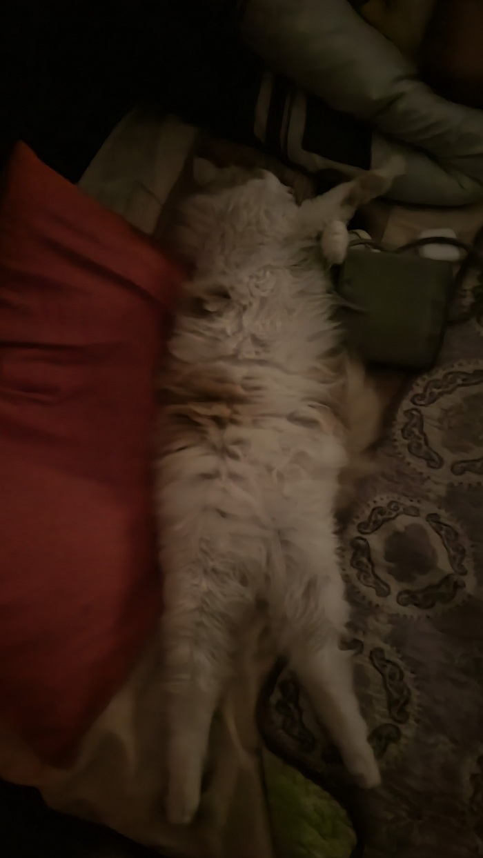 ����� ������ ���� �����, �� ��� ����� ��� ������