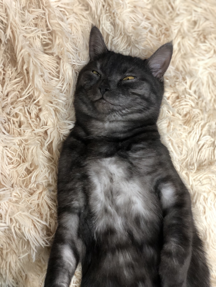 �������� � �����