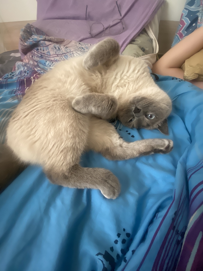 Российские бренды одежды