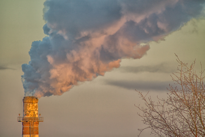 � ��� ��� �� ������ ��������