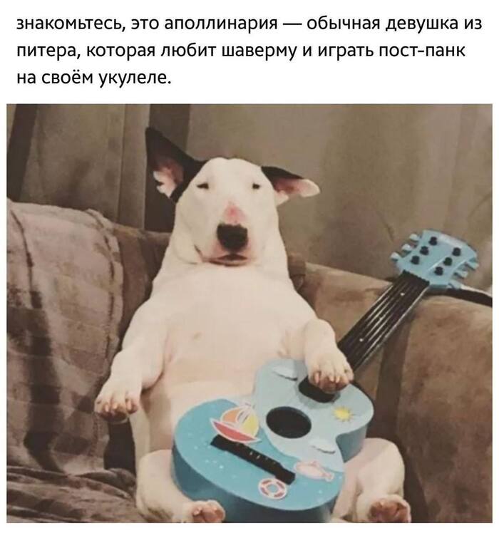   #1 , , ,   , 