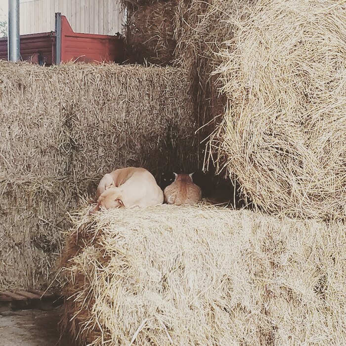 Заслуженный отдых