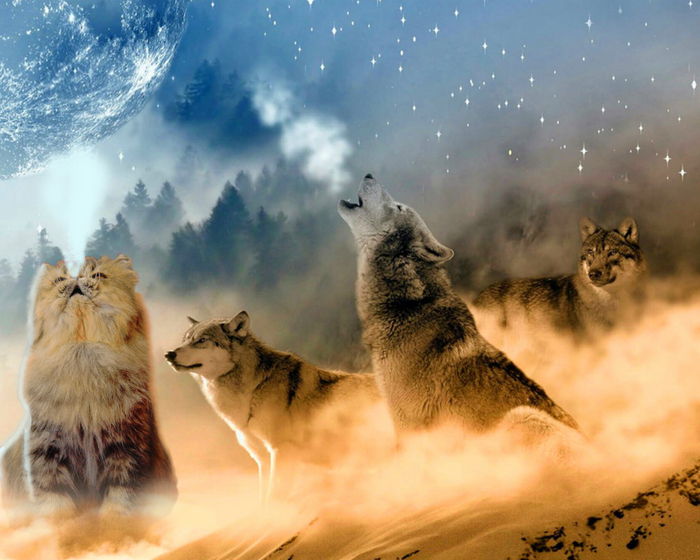  . ( 3) Photoshop, , , , 