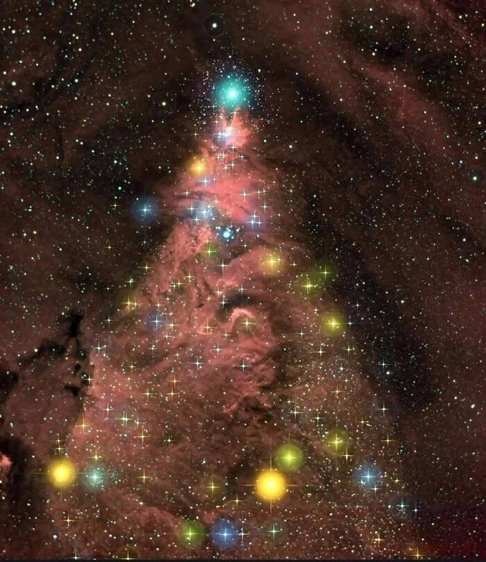       (NGC 2264 )    (46P)  .  , , 