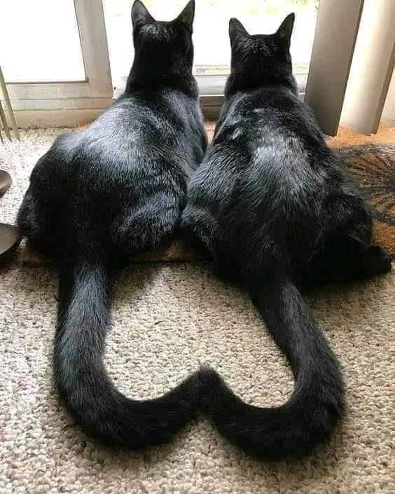  ,  , , 