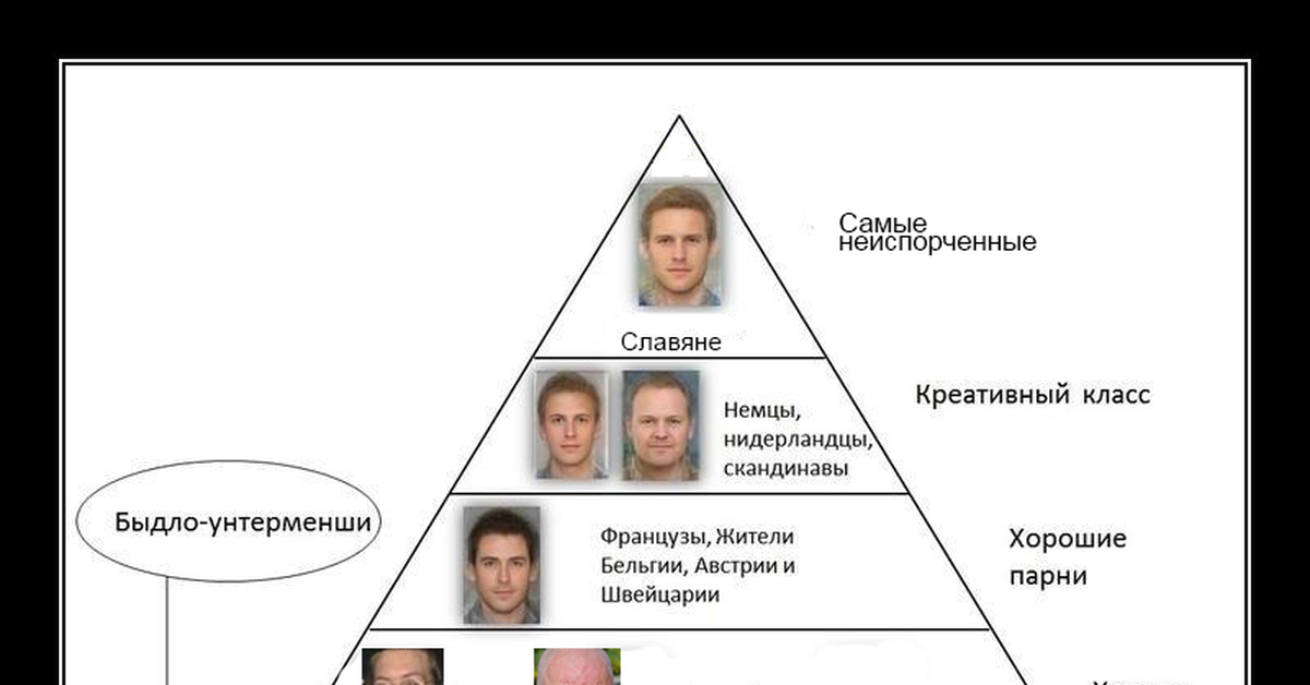 Распорядок на сегодня | Пикабу
