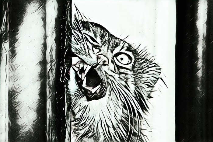 ���� ������� ������-����!