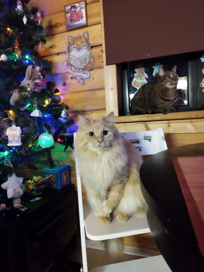 ��� ������ � ���� �����