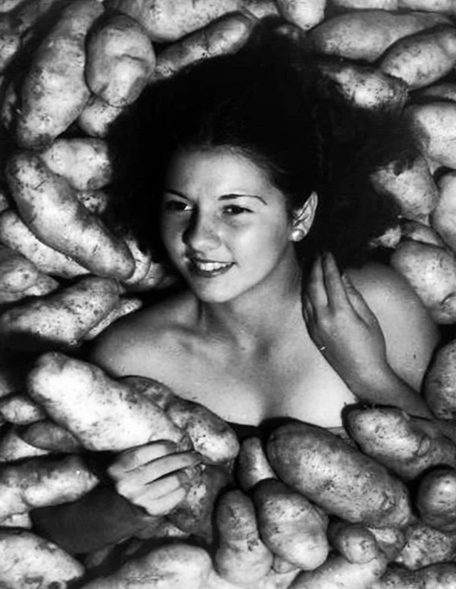 ������� ������� Playboy 1953�����, ��������