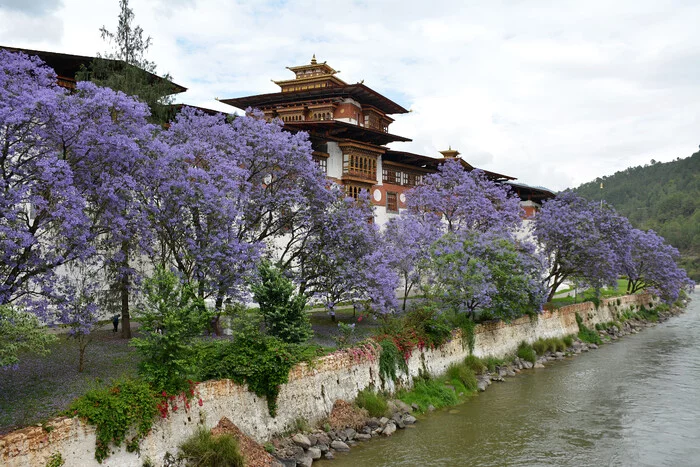 Бутан, который страна Путешествия, Бутан, Королевство Бутан, Эверест, Азия, Стрельба из лука, Длиннопост, Фотография