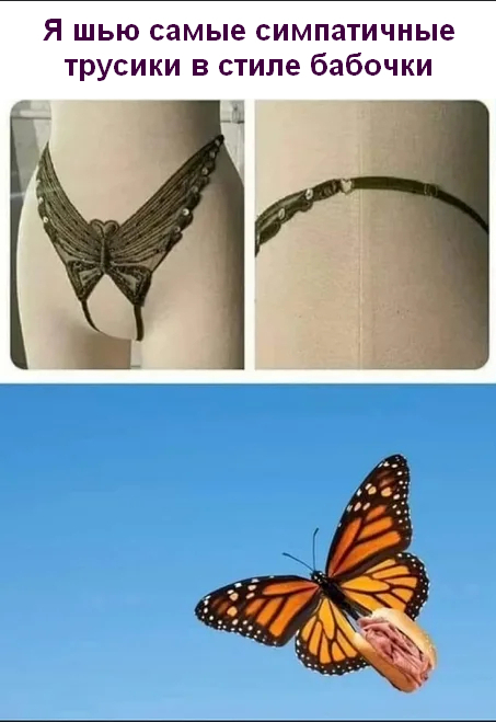  /  ,   , , ,   