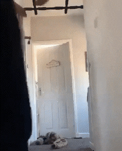      , , , 