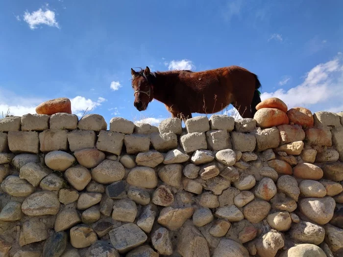 Впечатления от Непала после 3 месяцев проживания Путешествия, Непал, Покхара, Туризм, Впечатления, Видео, YouTube, Длиннопост Впечатления от Непала после 3 месяцев проживания Путешествия, Непал, Покхара, Туризм, Впечатления, Видео, YouTube, Длиннопост