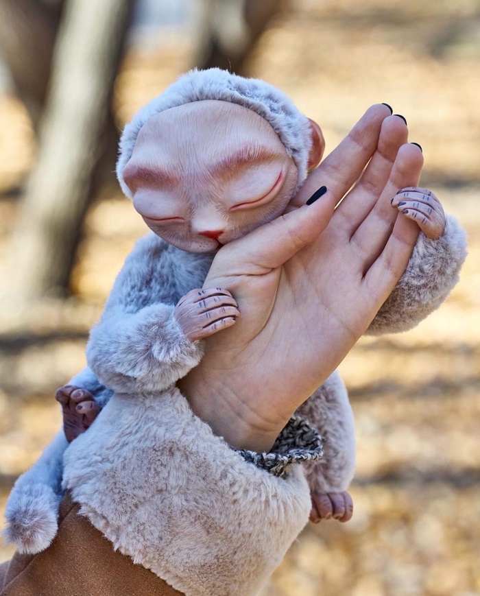 ������ ��������� ����������� �������