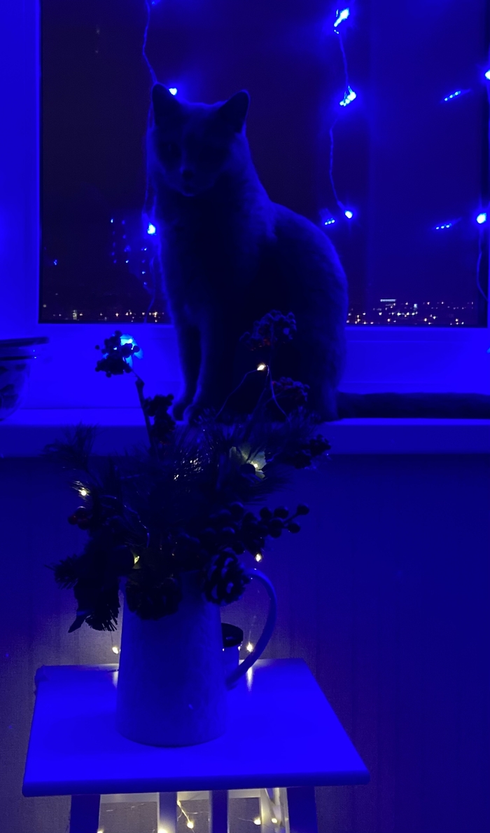 ������-3