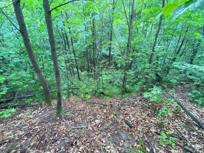 ����������� ��� ��������� � �������� ���������� ������, ��������� � ����� ������. ������ - �� ����� ������ ��������� ������