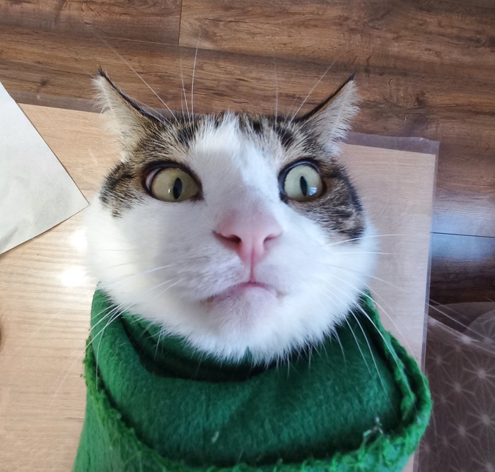    , ,  ,  , ,   