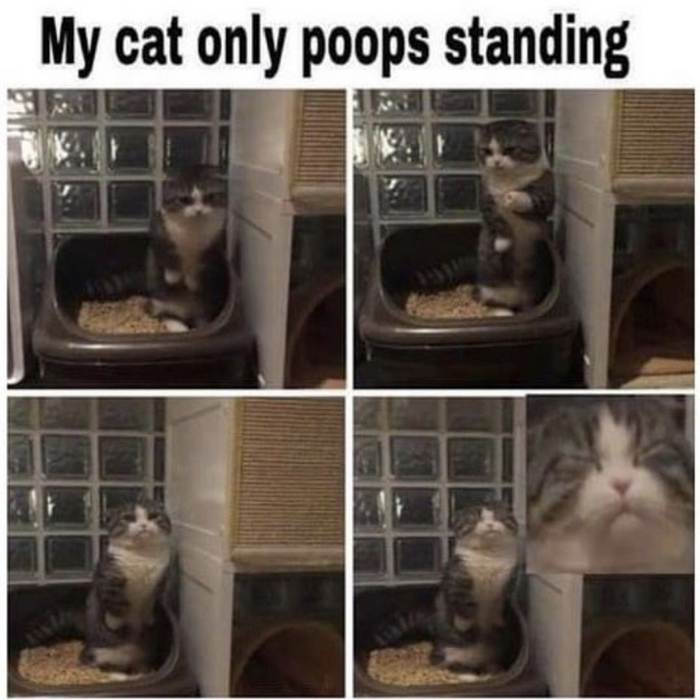      , ,   , , 