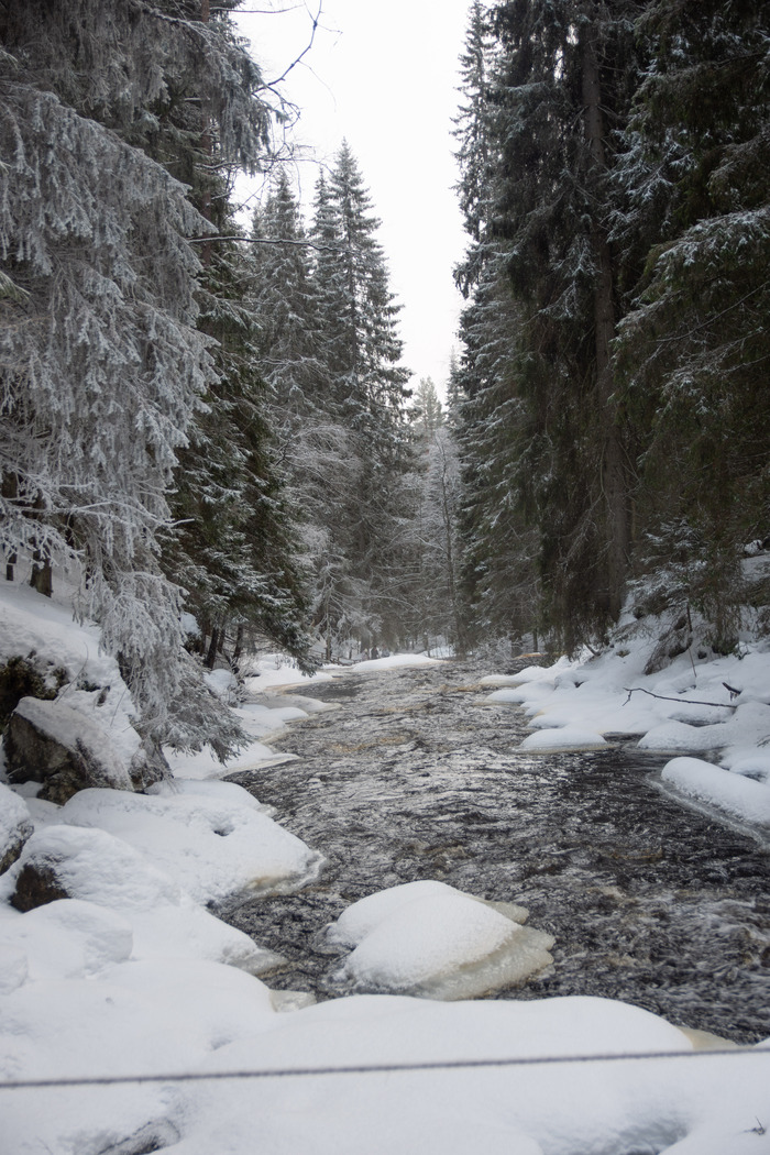 Вокруг Ладоги за 3 дня Путешествия, Туризм, Карелия, Длиннопост