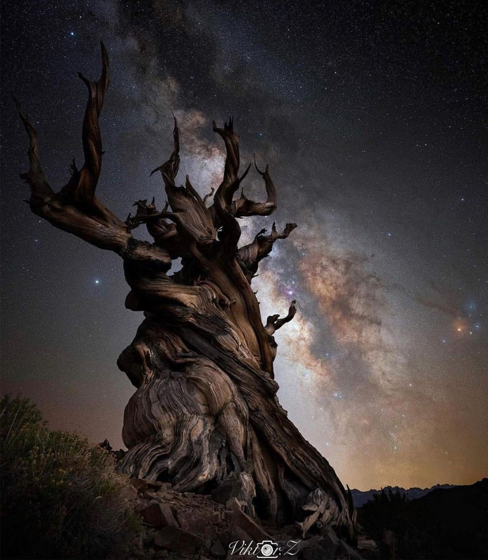 Млечный путь