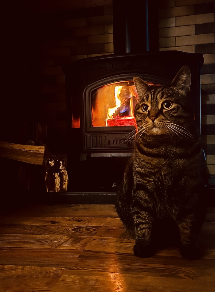 � ����� ������ ��������