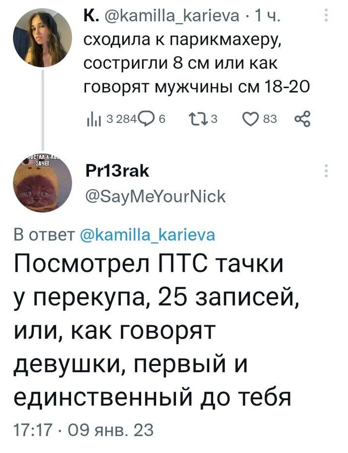 Симметричный ответ Скриншот, Twitter, Kamilla Karieva (Twitter), Картинка с текстом