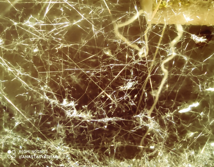 Паутина времени