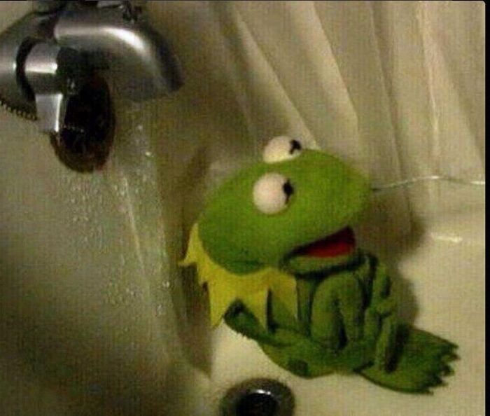 ���� ����������� 