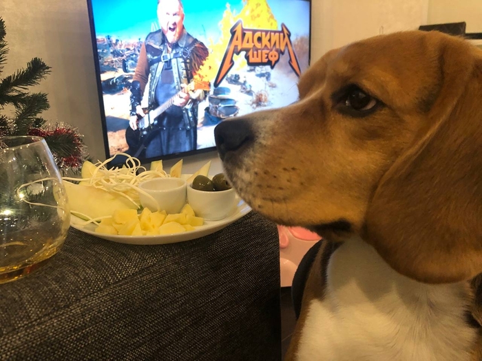 ����� ������� �����