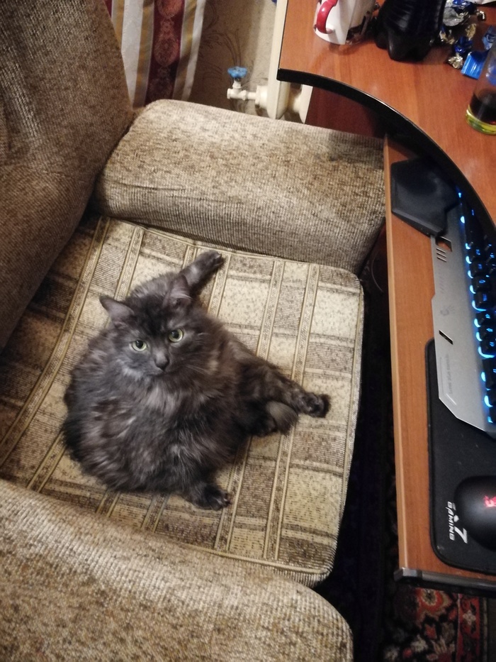 ����� ��� ����� �� �������� � �������� ��� �����