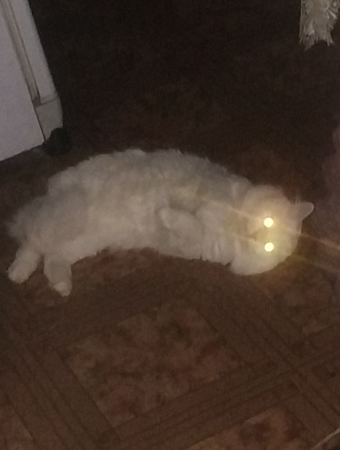      , , ,  , 
