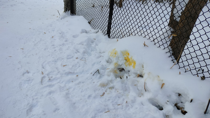 Уважаемые владельцы собак