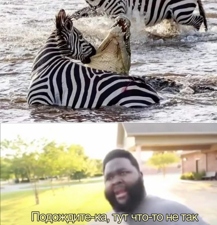      , , , ,  , 