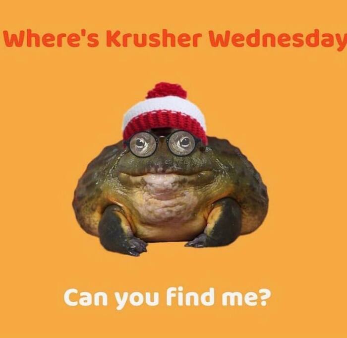     It Is Wednesday My Dudes,   , , , 