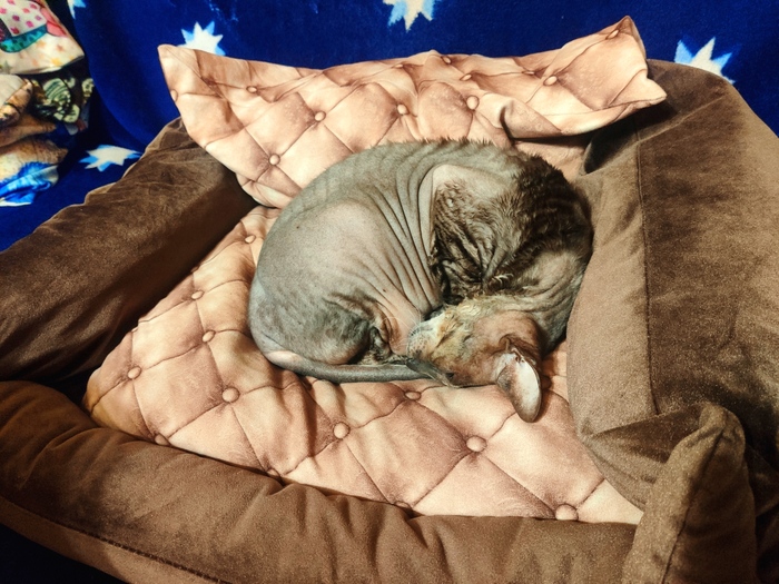 Бунт против системы