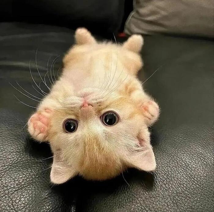 � ���������� �����!