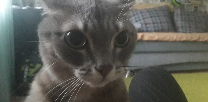 ����� ����� ��� ������