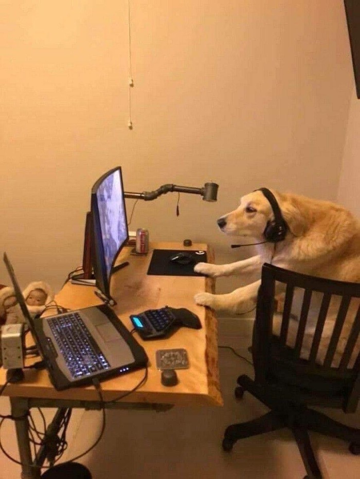   - , 