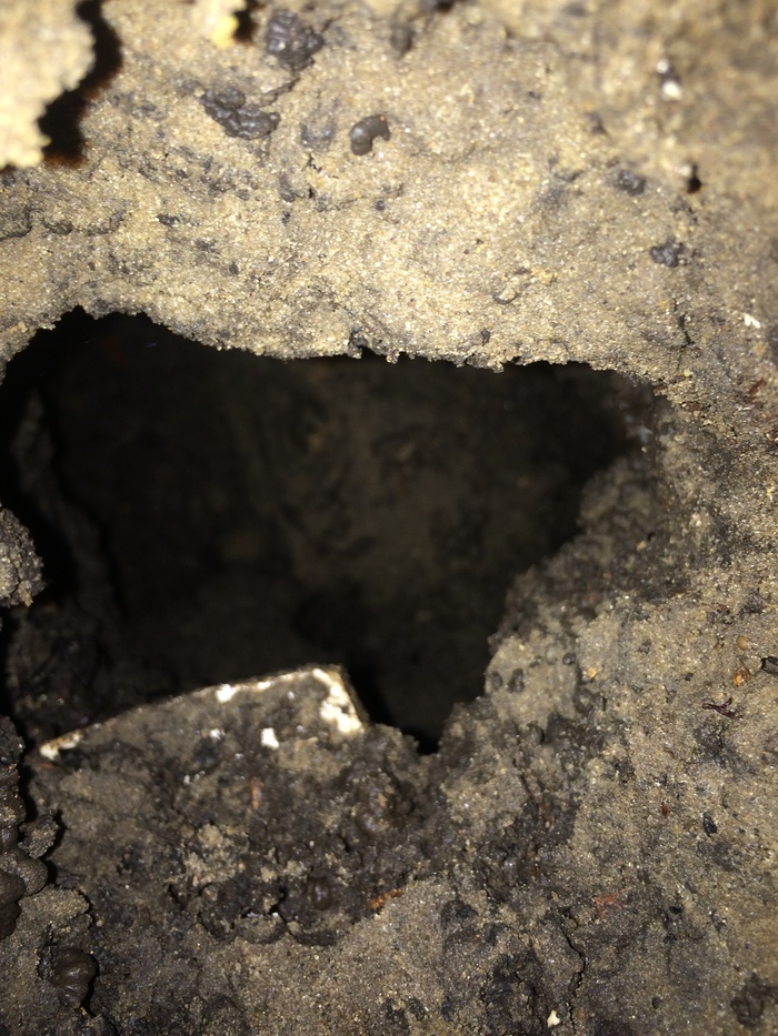 Моя парейдолия 2.