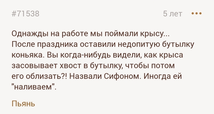 Хвостатый алкоголик