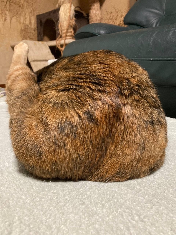   ? ,  , 