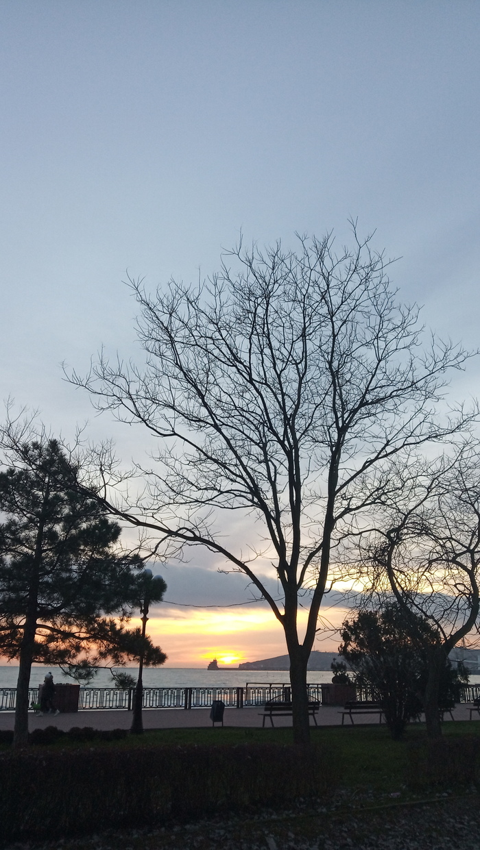 ������� � ��������