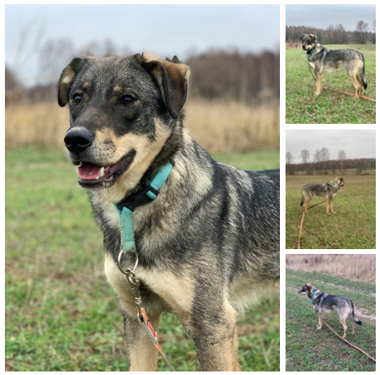 ������, �������, ��������� �������. ������� ������ ���� ���� �� ���������� � ������� ����� ��� � ������� �������