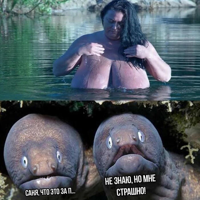     ,   , , 