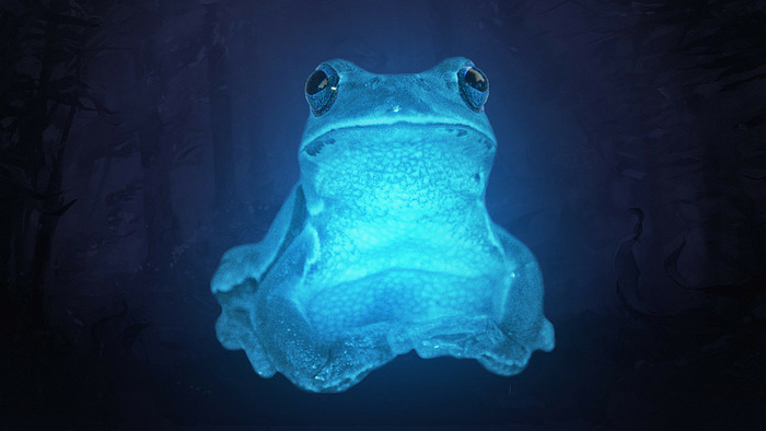 Steam    IceFrog' , , Dota, Dota 2, Steam, 