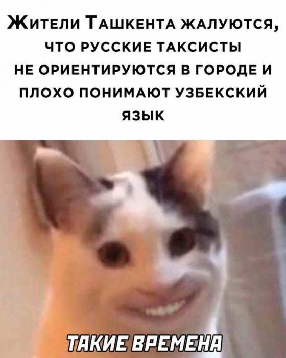 Vaqtlar haqida, urf-odatlar haqida ...