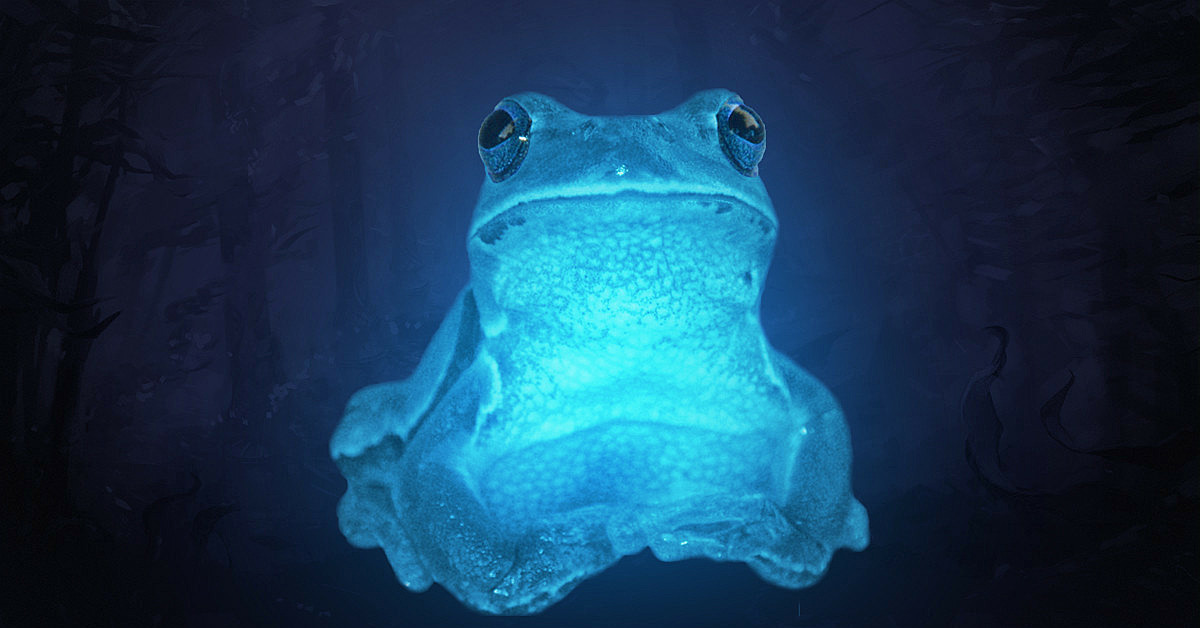 Icefrog