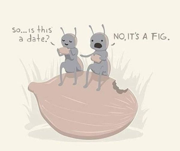 ������ �������� ����� "date"